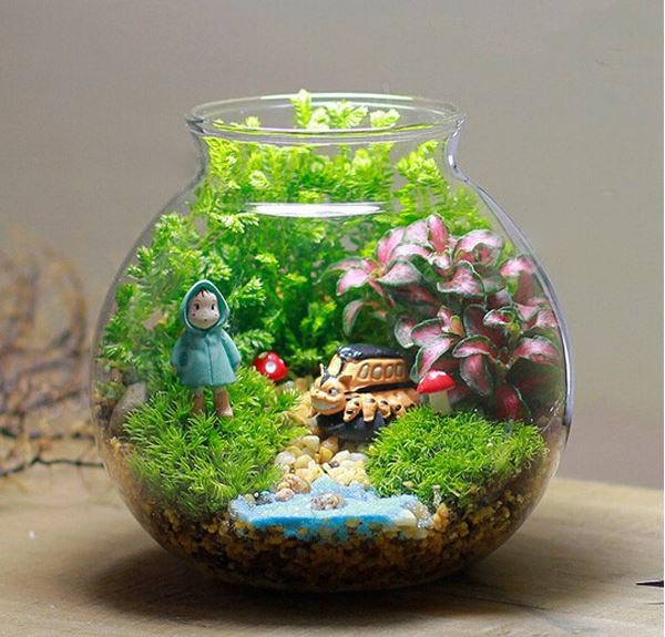  Vas  Terrarium Jarrarium Moss Succulent Tanaman  Micro 